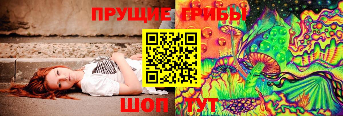 Елец  Псилоцибиновые грибы GOLDEN TEACHER  Вход с VPN 