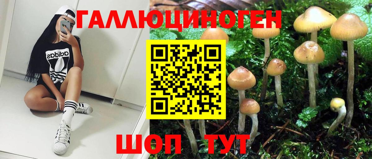 Галлюциногенные грибы MAGIC MUSHROOMS Елец